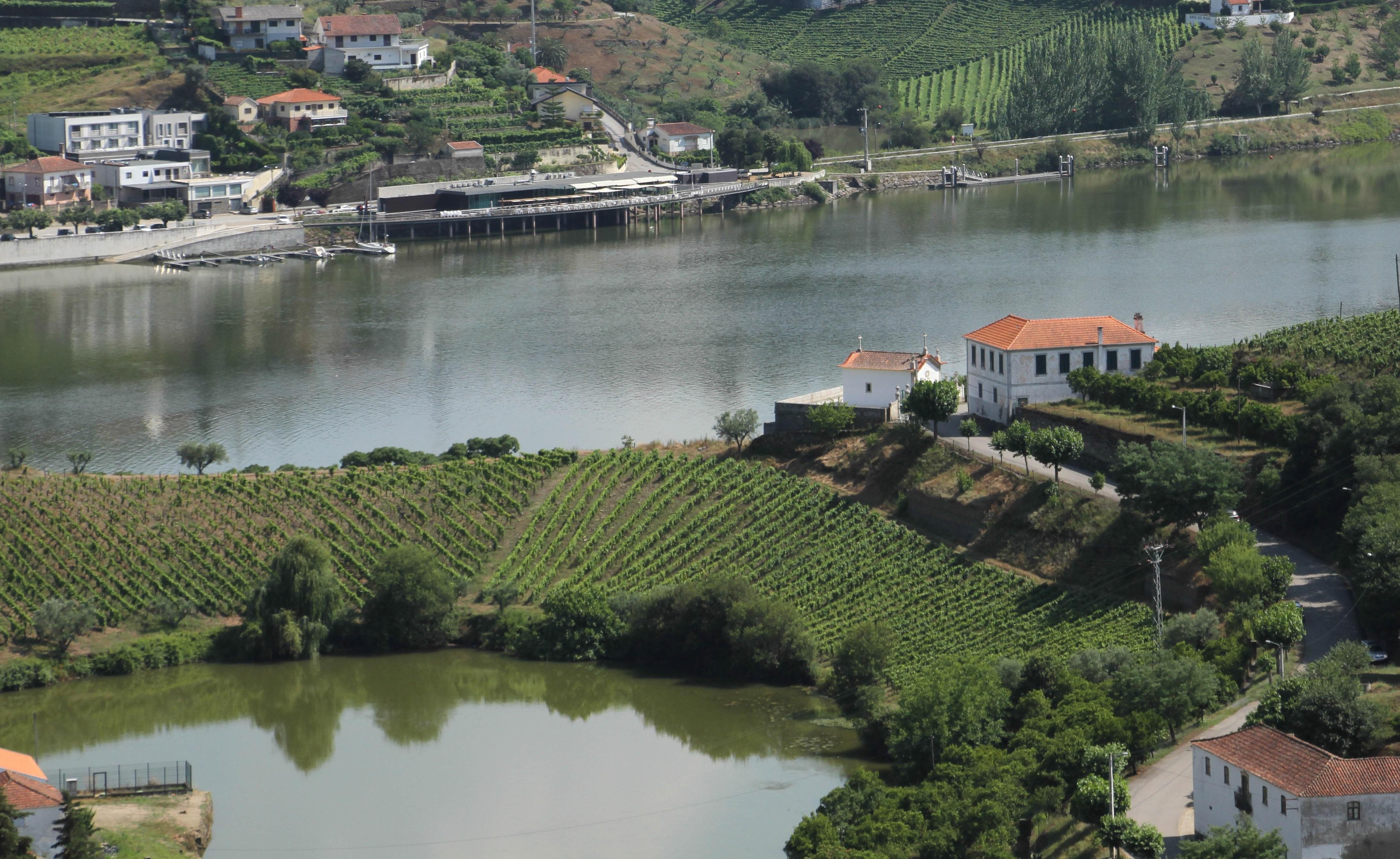 Hotel Folgosa Douro Armamar Exteriér fotografie