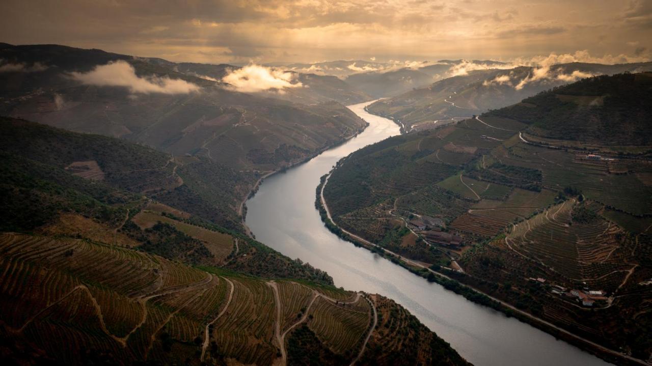 Hotel Folgosa Douro Armamar Exteriér fotografie